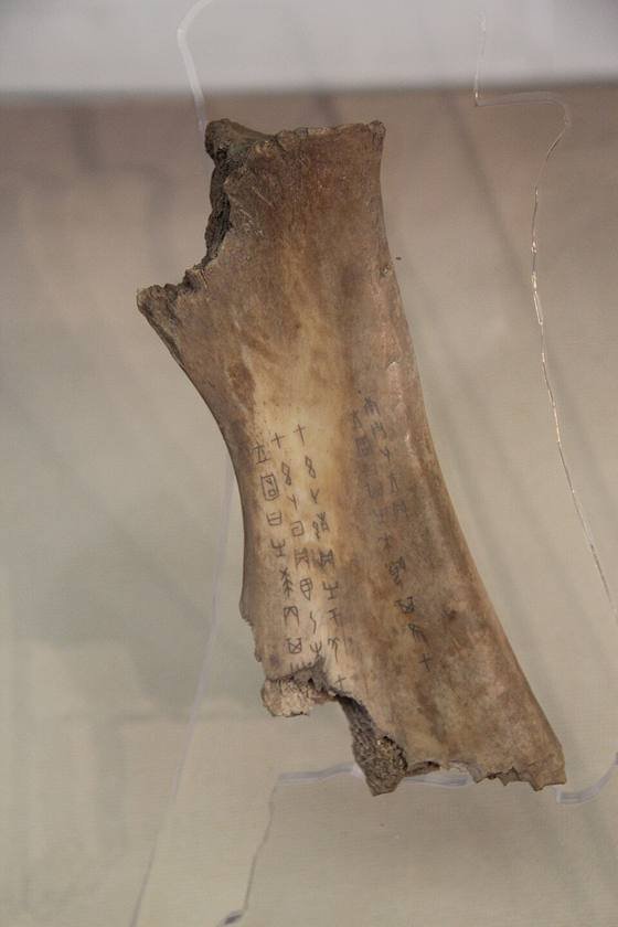 A long fragment of animal bone with two columns of carved early Chinese characters