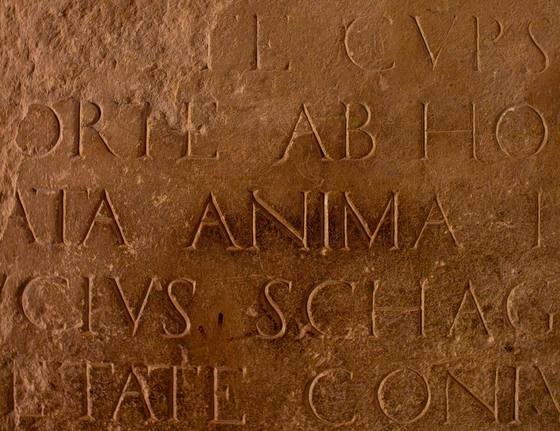 Close-up of capital letters carved into stone, including the words ANIMA and AB